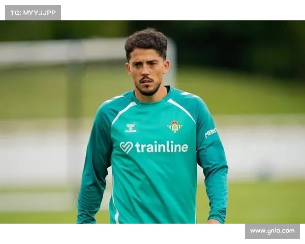 福尔纳尔斯因与佩罗内发生冲突公开道歉并承诺不再犯同样错误 福尔纳尔斯因与佩罗内发生冲突公开道歉并承诺不再犯同样错误