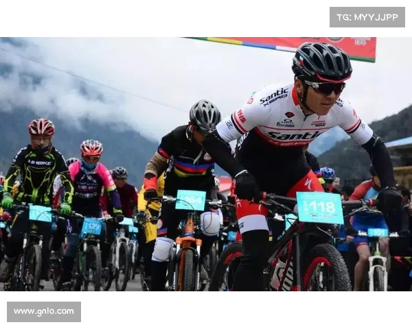 球迷文化多元化发展趋势探讨与对现代体育产业的深远影响分析 球迷文化多元化发展趋势探讨与对现代体育产业的深远影响分析