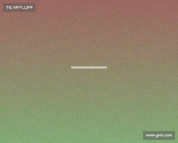 德甲足球文化探析：从球迷热情到球队精神的多维解读